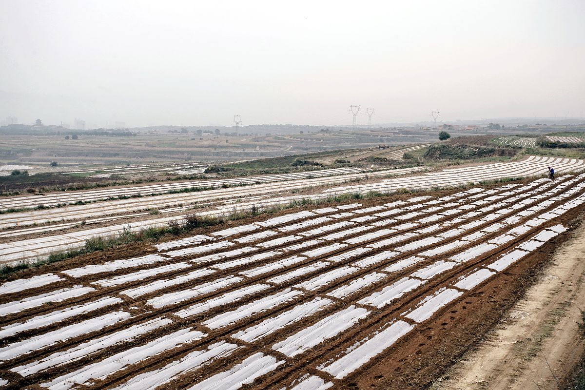 覆膜是否需要纳税回答+拓展