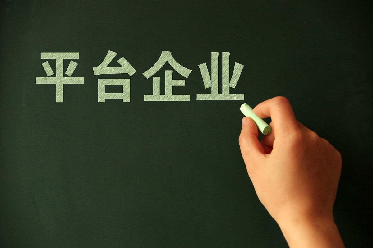 如何开公司: 从构思到运营的完整指南