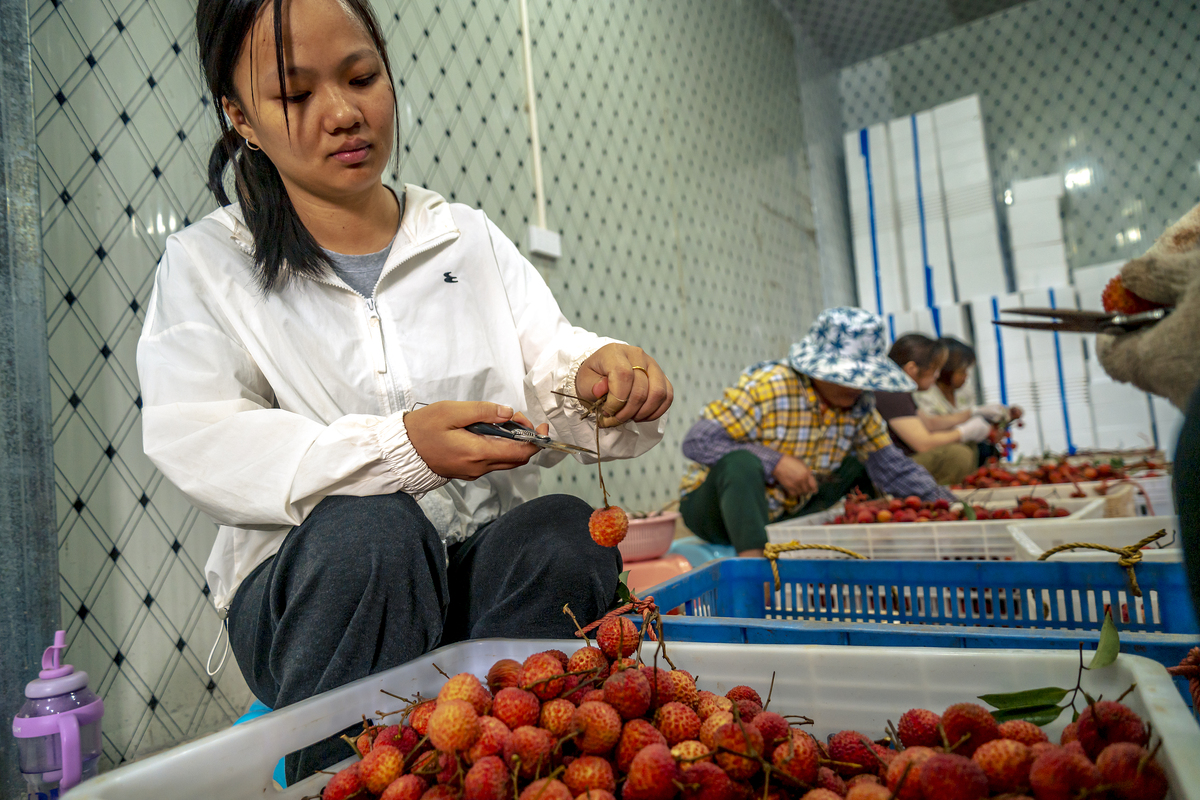 茂名人长相特点回答+拓展