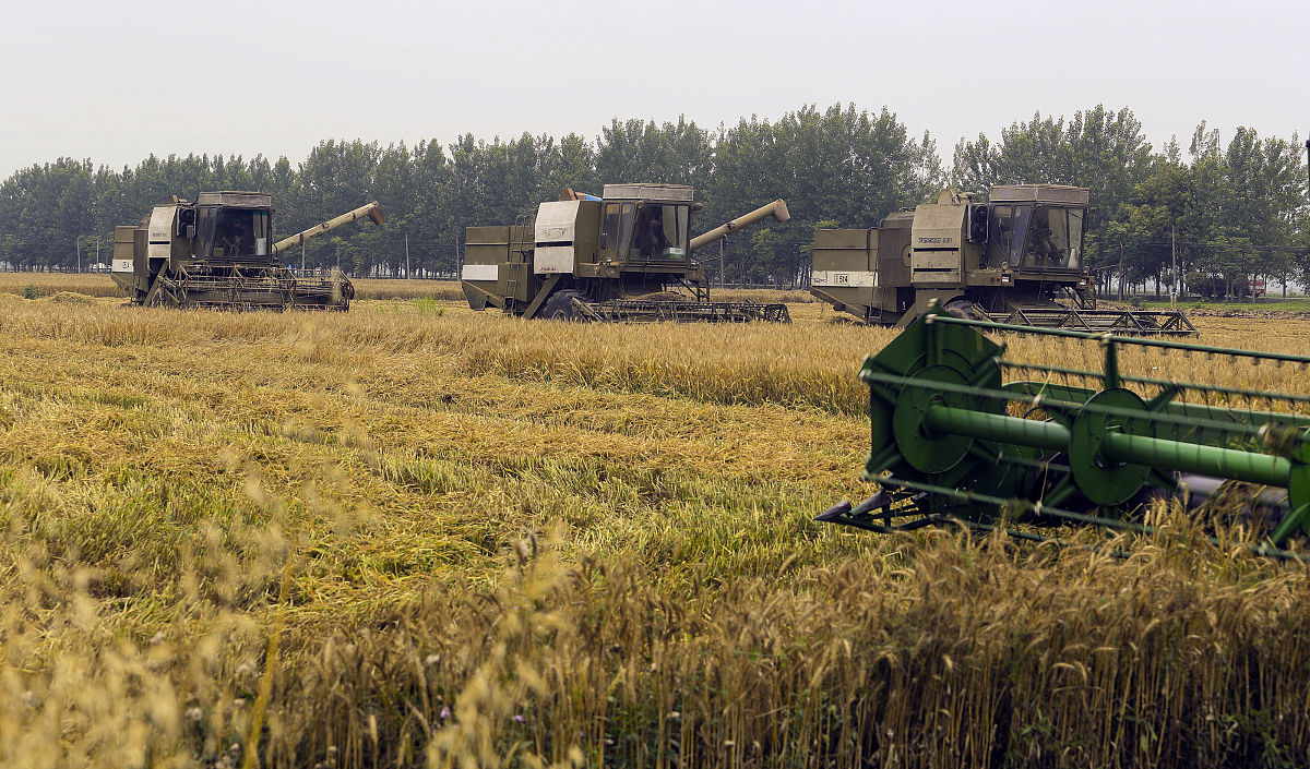 长春市农业学校招生招生专业有哪些