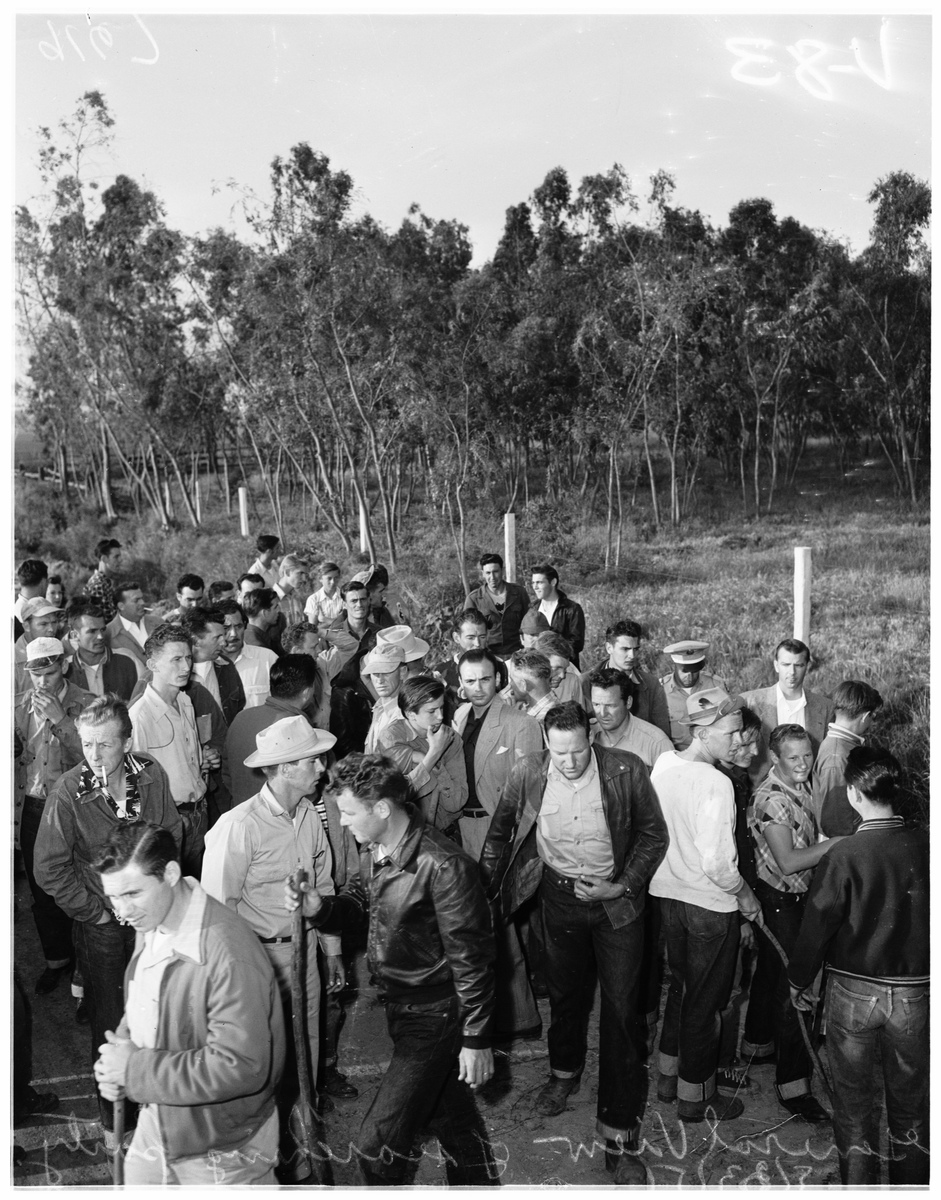 以下面的文章为基础谈谈这个文章带给我们的启示写八百字 文章内容为：在《这是一片神奇的土地中》作者站在生命和历史的高度描写一群大地之子的希望与追求痛苦与快乐精神上的贫乏和富有等等。以悲剧为主却在悲剧中注入阳刚让读者佩服主人公们无畏的精神同情他们所遭受的痛苦。四个人物三人死于非命可谓悲剧色彩浓厚他们的死并没有带来悲哀的赞歌而是高扬崇高的阳刚。《土地》中既表现了知识青年们对理想的狂热和盲目追求同时也体