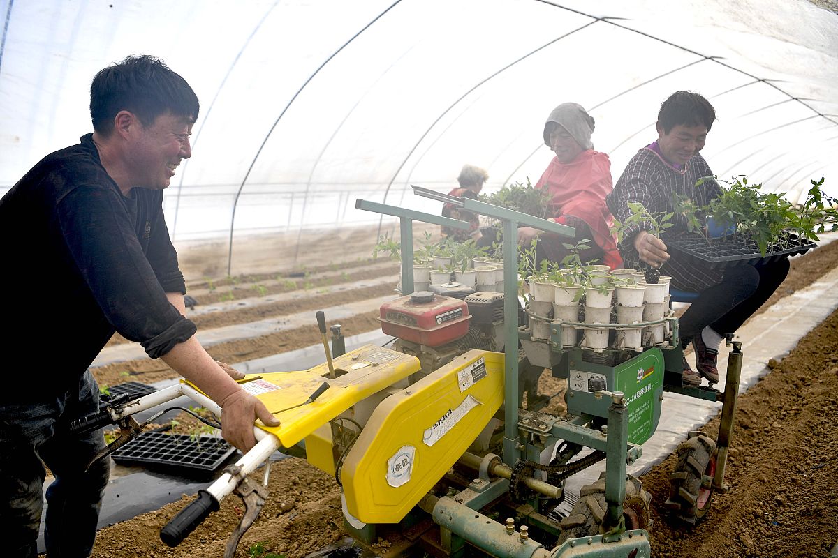 移栽机：提高种植效率的机械设备