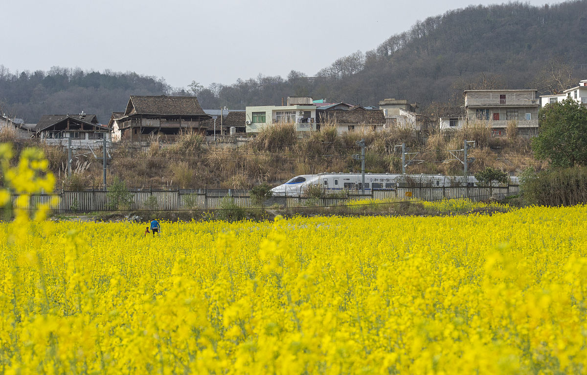 贵州省旅游学校怎么去？交通路线全攻略