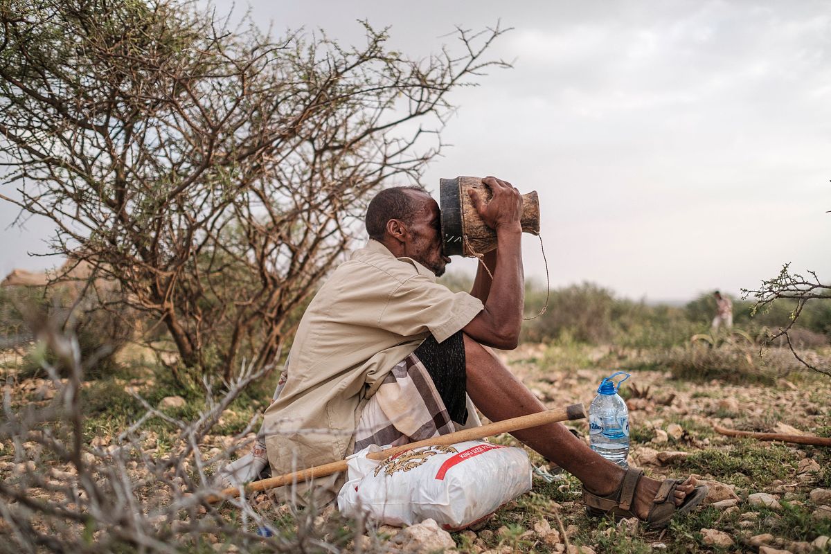 有创意的骆驼奶推广内容