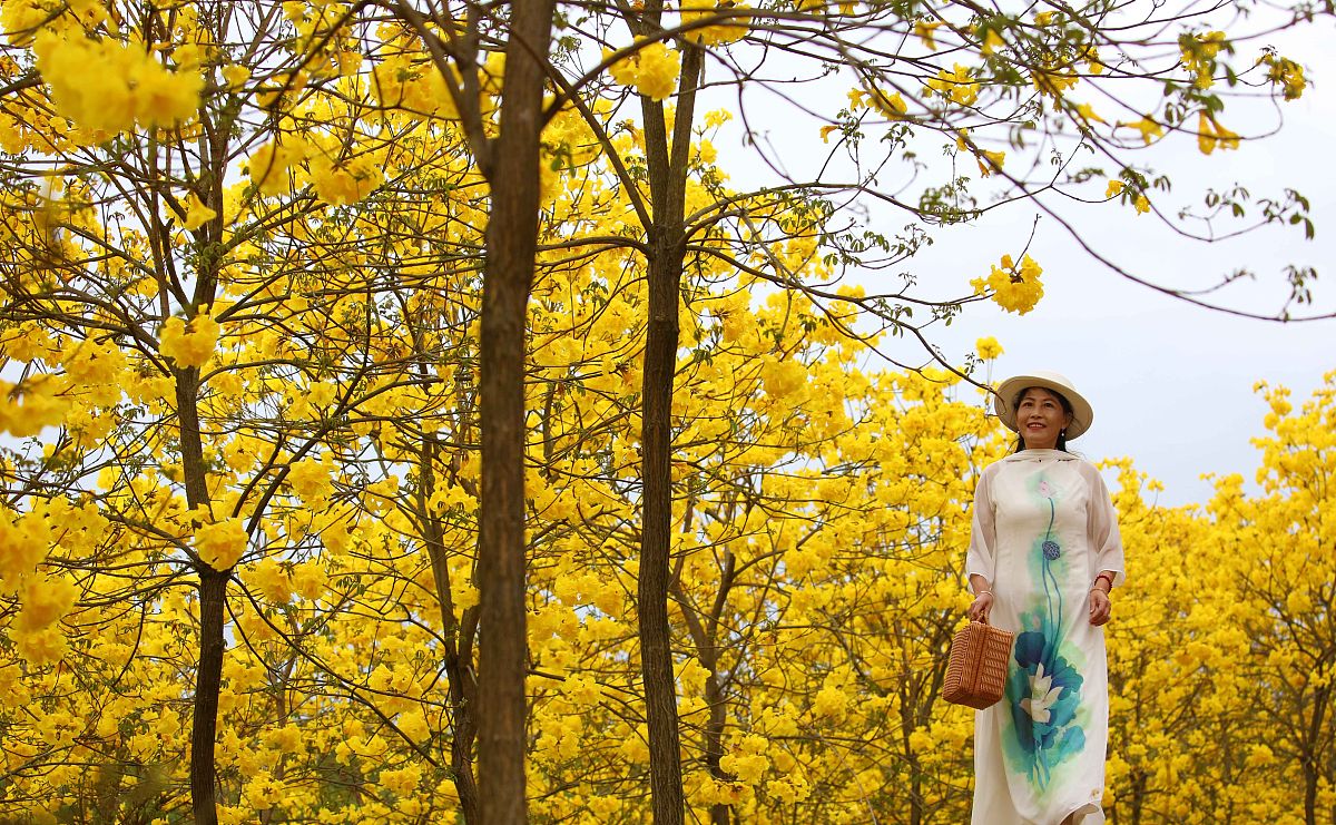 广西2022年中专学校专业有什么