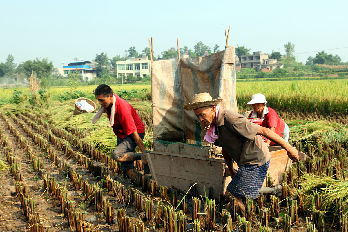 宁夏农业广播电视学校五年制大专2022初中起招生要求