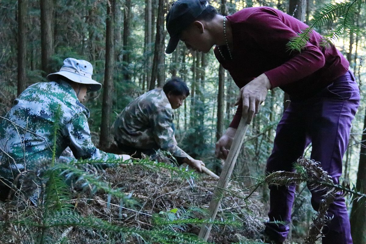 六盘水现在中专学校学什么专业好