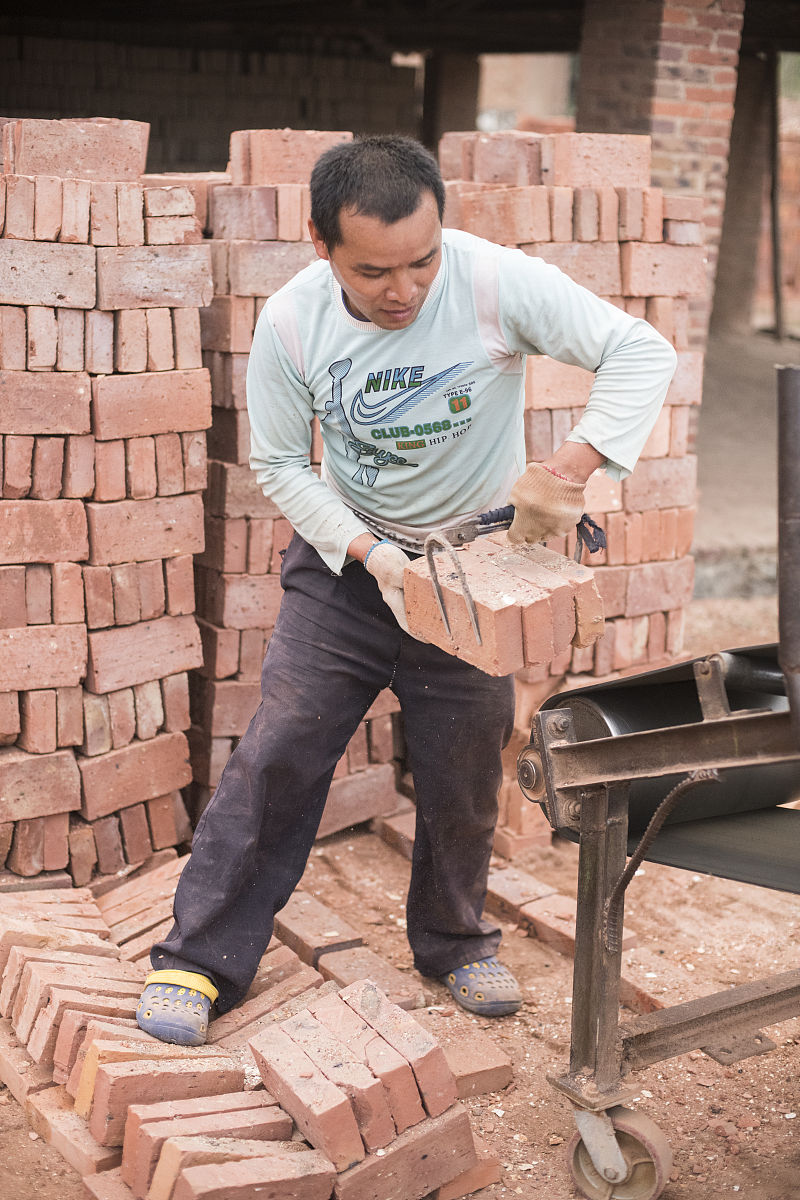 畜牧舔砖行为：原因、影响及预防措施