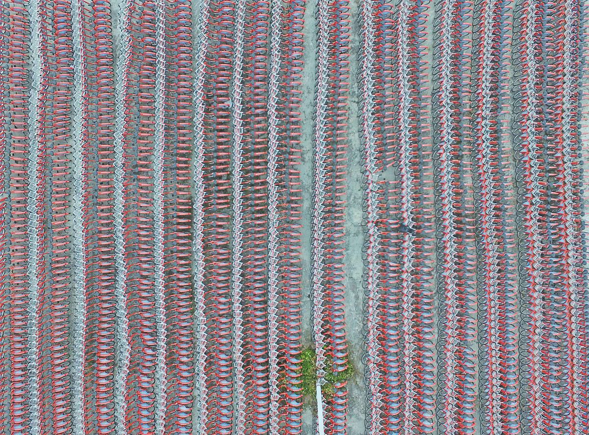 这个牧场太大了一看望不到头。这句子使用了哪些修辞手法？