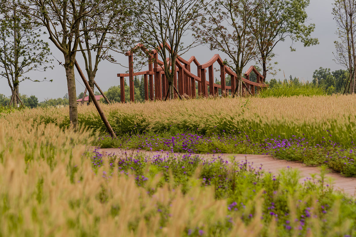 德阳城市职业学校招生简章 - 培养市场竞争力人才