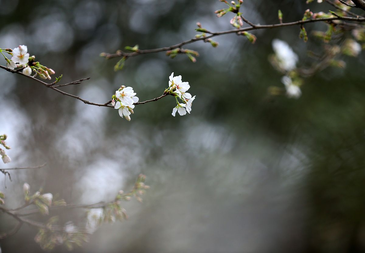在清风细雨的三月话离别求比较公正的下一句