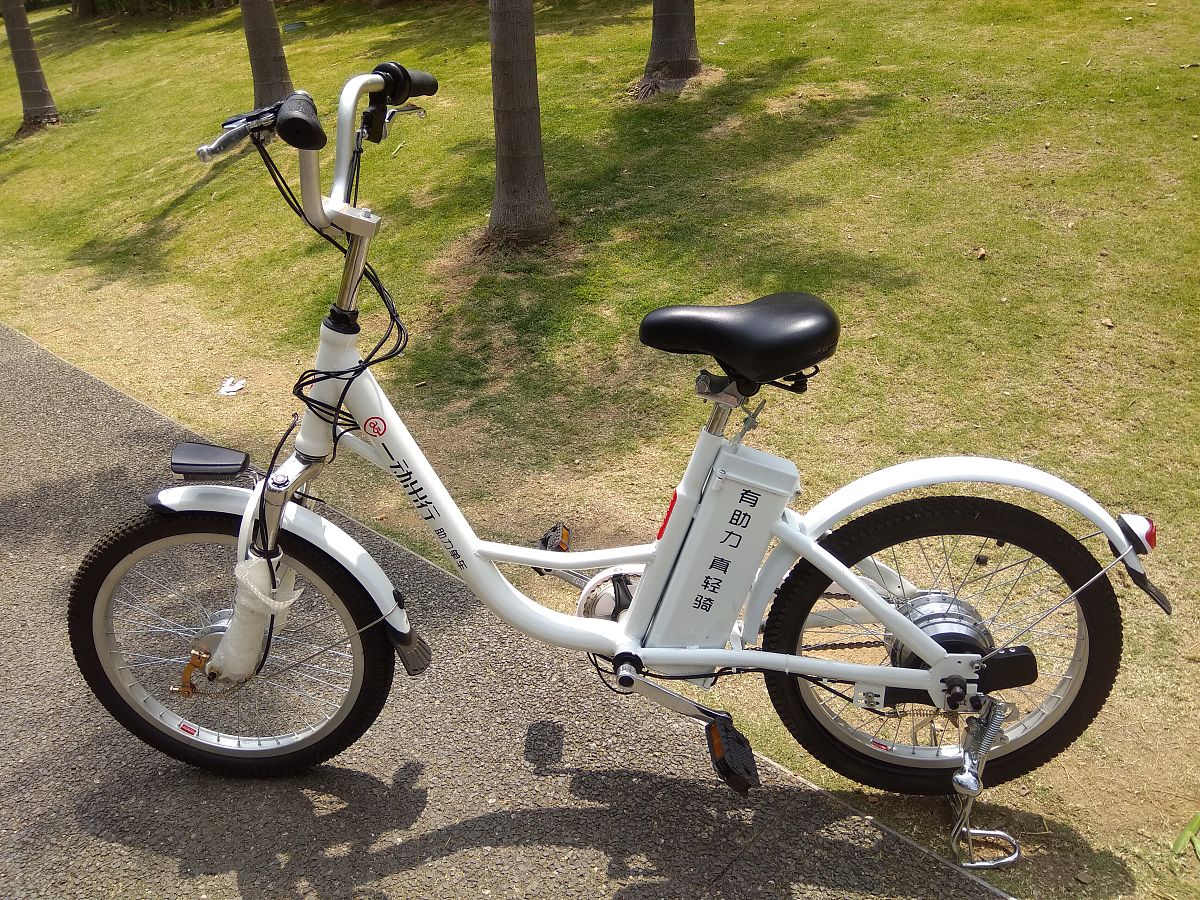 推荐几款性价比好的、大品牌的电动自行车