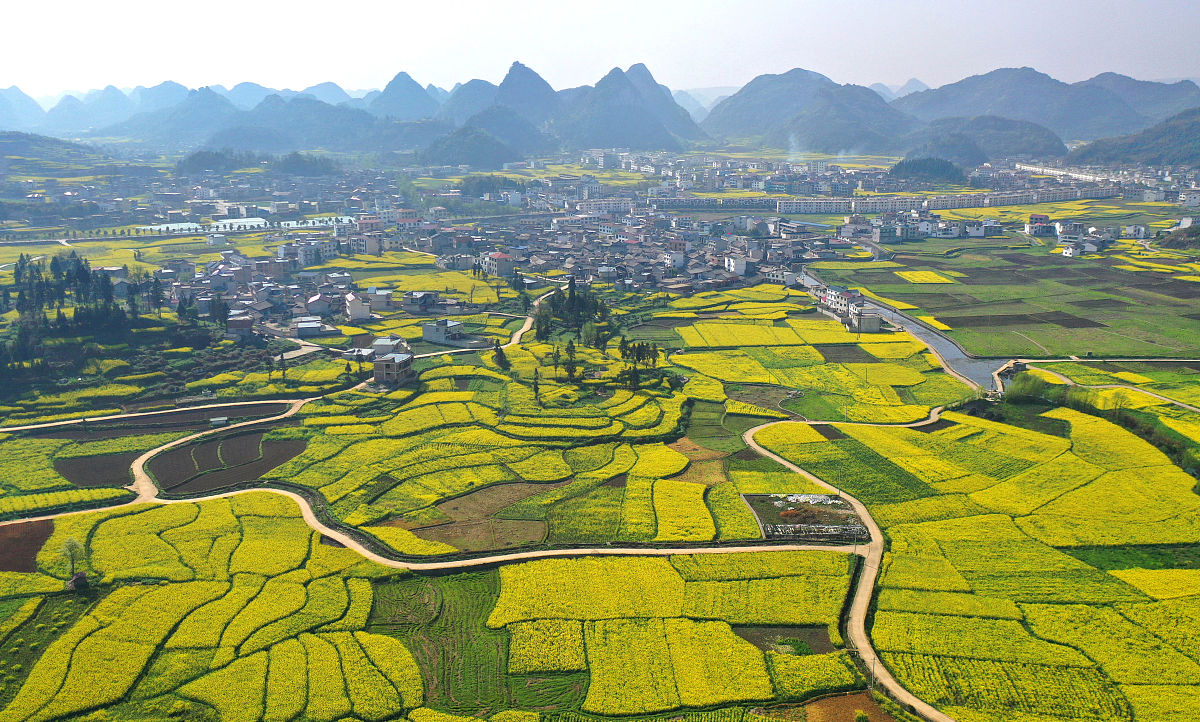 西秀区安吉职业技术学校2021年招生简章 - 联系方式、专业介绍