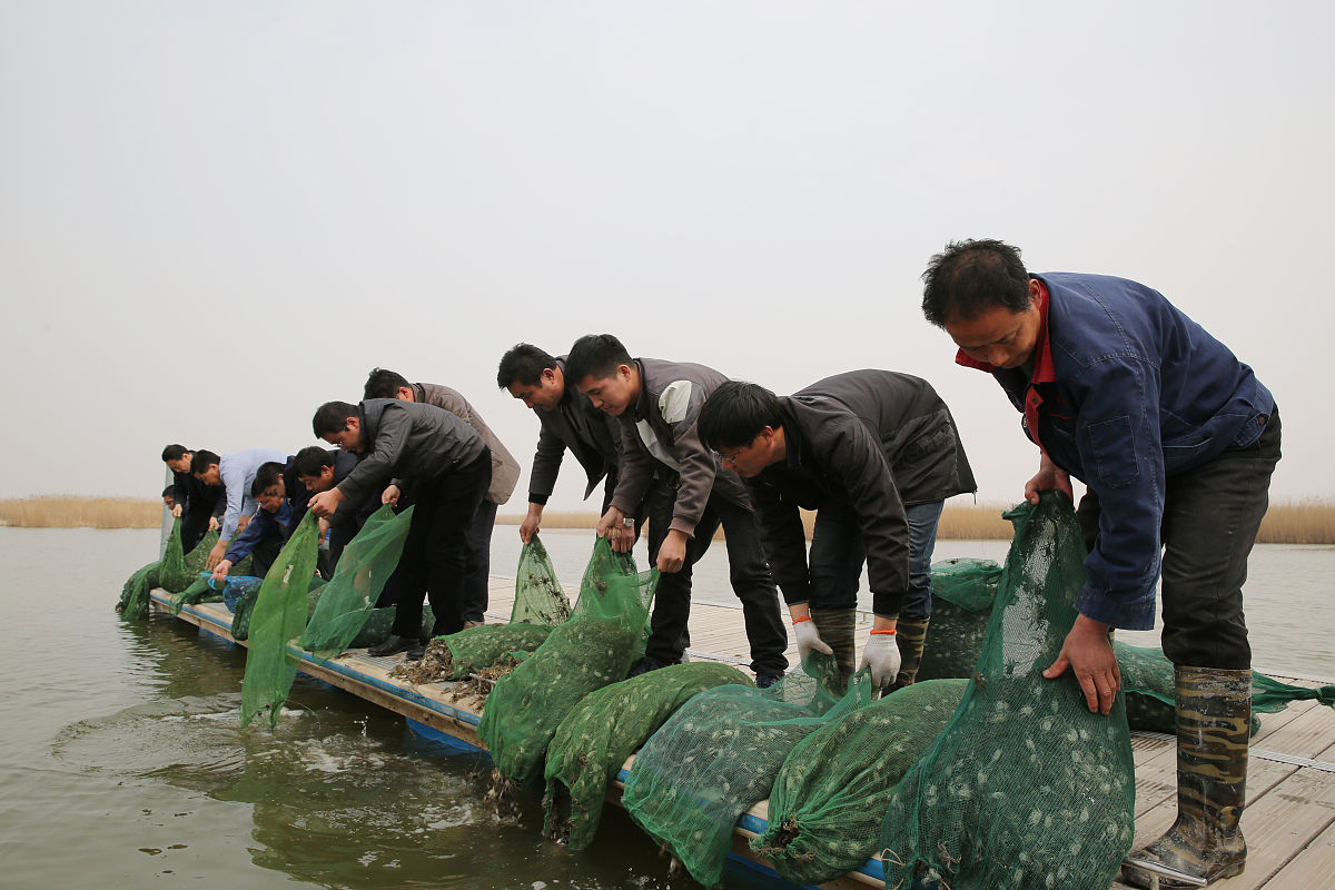 写一篇河蟹挂笼观摩会的报道