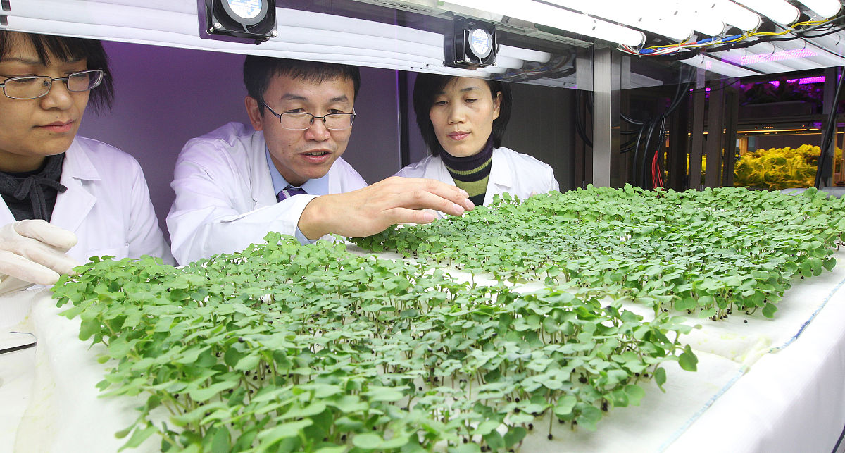 曲靖农业学校2019年五年一贯制大专招生简章