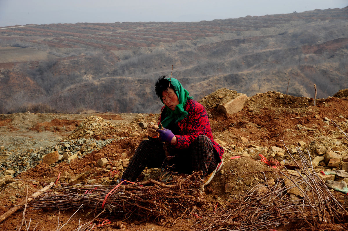 曲靖农业职业技术学校2019年五年制大专招生对象 - 培养农业技术人才的摇篮