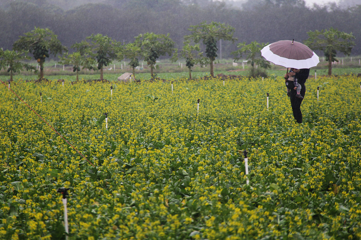 山西农业广播电视学校2021年招生专业有哪些？附热门专业解读