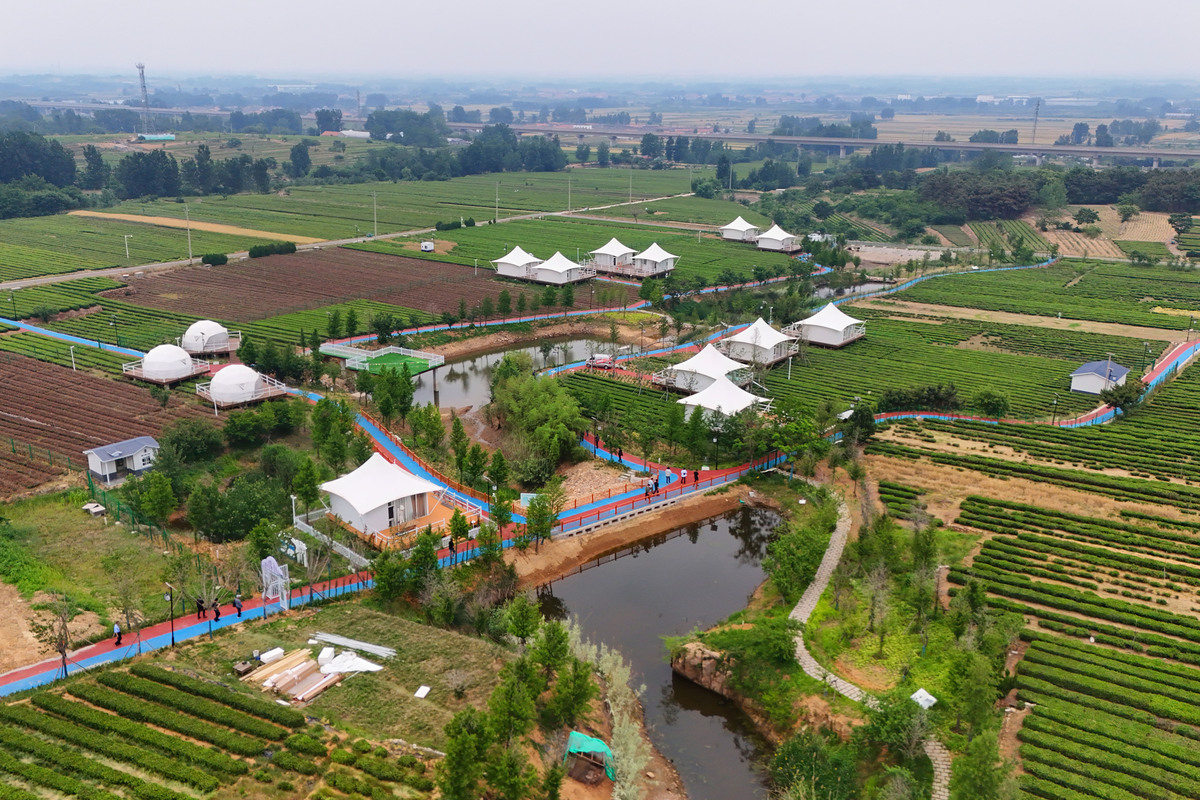 观光农业经营专业详解及就业方向