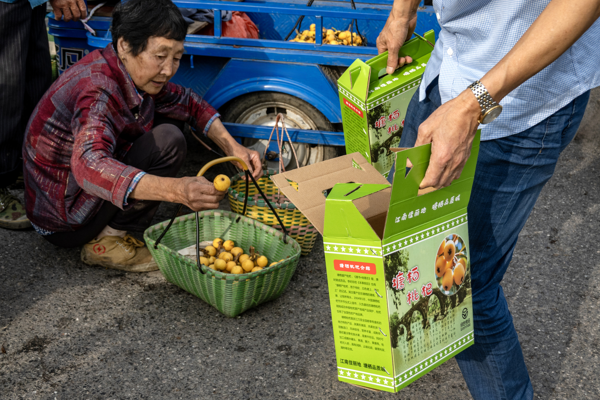 帮我写一份新闻稿主要是说明我们的金果兴农-枇杷加工设备助力乡村振兴