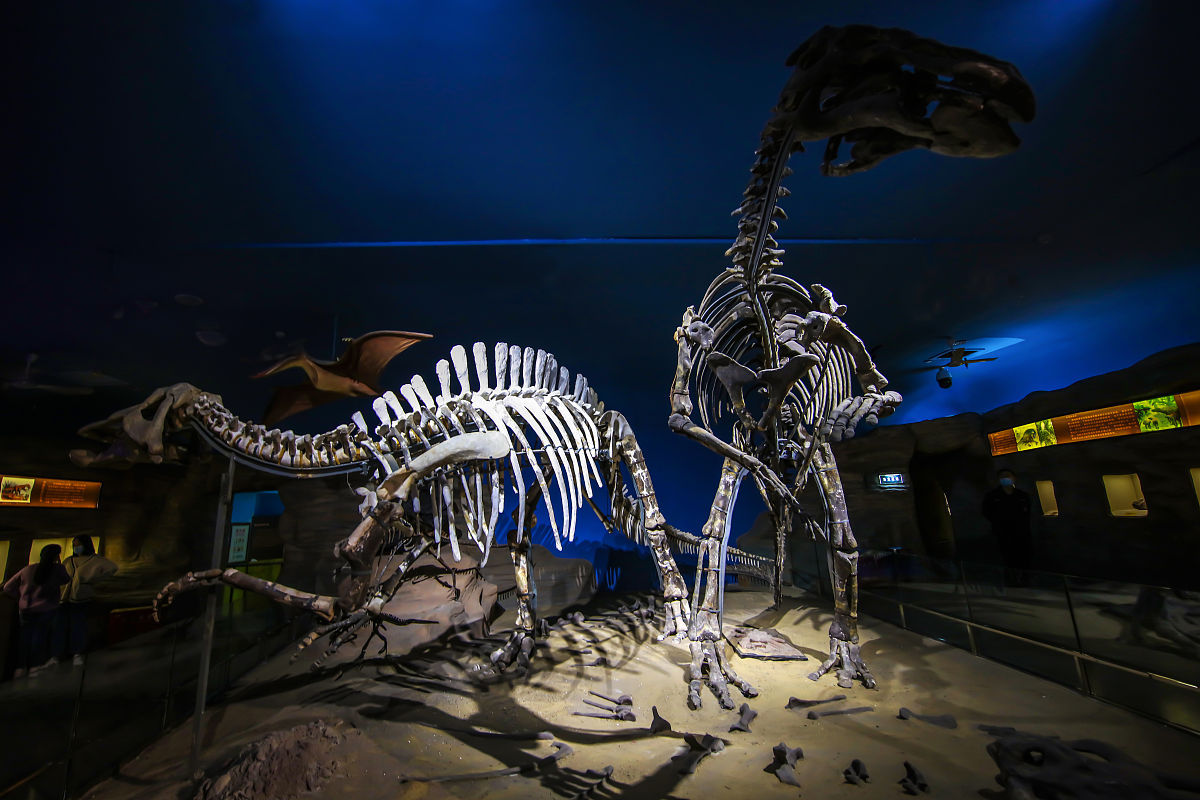 黑龙江护理高等专科学校2023年地址在哪？-最新位置