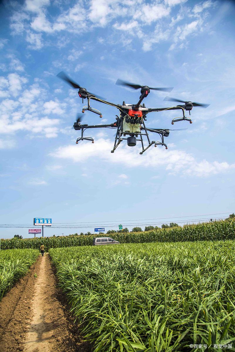 土壤杀菌用什么药效果好？常见土壤杀菌药剂特性与使用指南