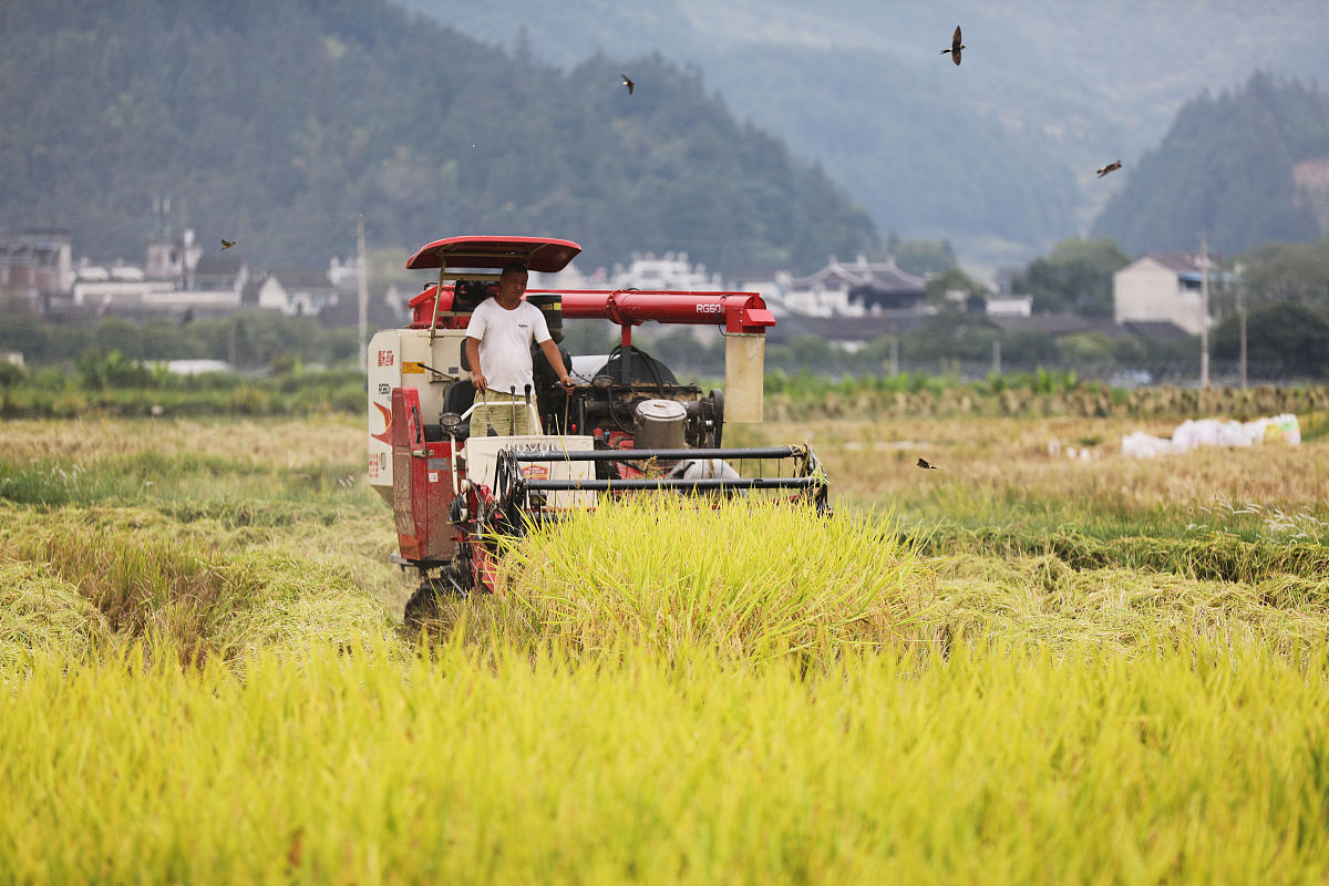 2022年锦屏中等职业技术学校招生简章 - 培养技能人才，成就未来梦想