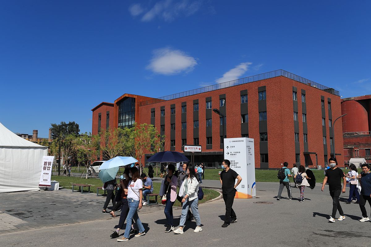 俄罗斯布良斯克国立技术大学的dmitry pogorelov教授是做什么的