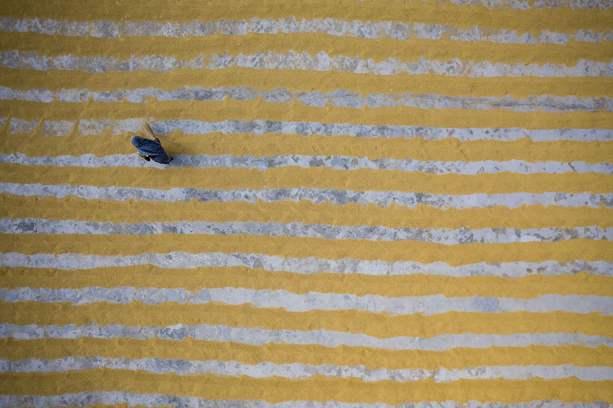 1200字关于《我的世界》：创造你的梦想世界