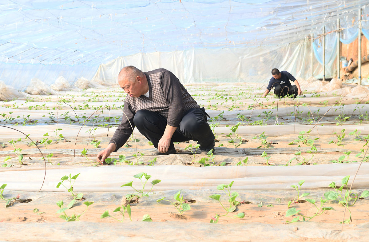 石家庄现代经贸中等专业学校2022年招生简章 | 培养经贸人才，成就未来梦想