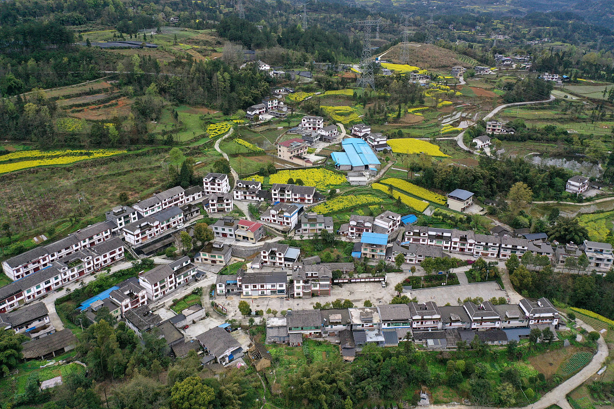 垫江县农村养老现状调查研究及对策分析