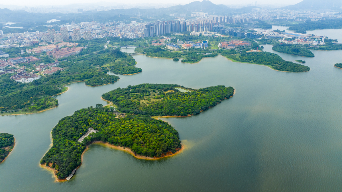 广州湛江旅游景点,广州湛江旅游景点大全