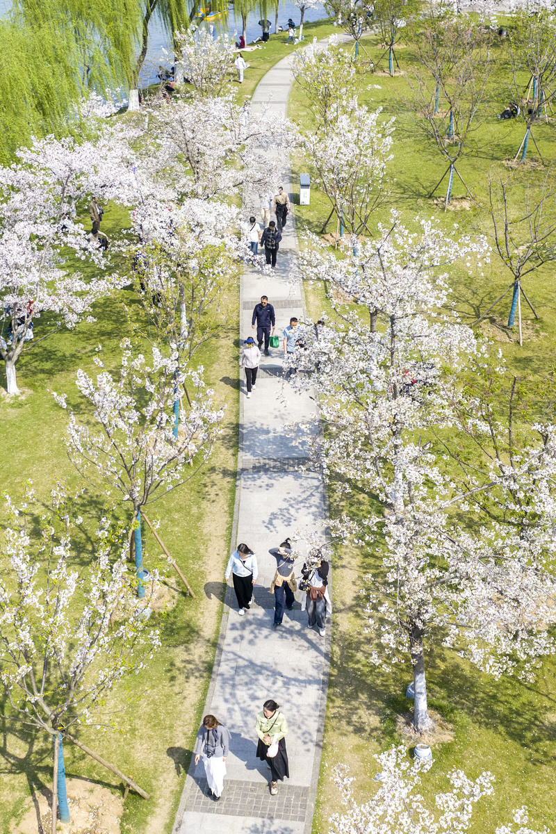 2026年3月29日,江苏南京,游客在玄武湖公园赏花游玩.