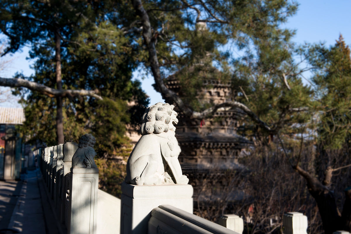 2019年12月7月,北京戒台寺,中国北方保存辽代文物最多,最完整的寺院.
