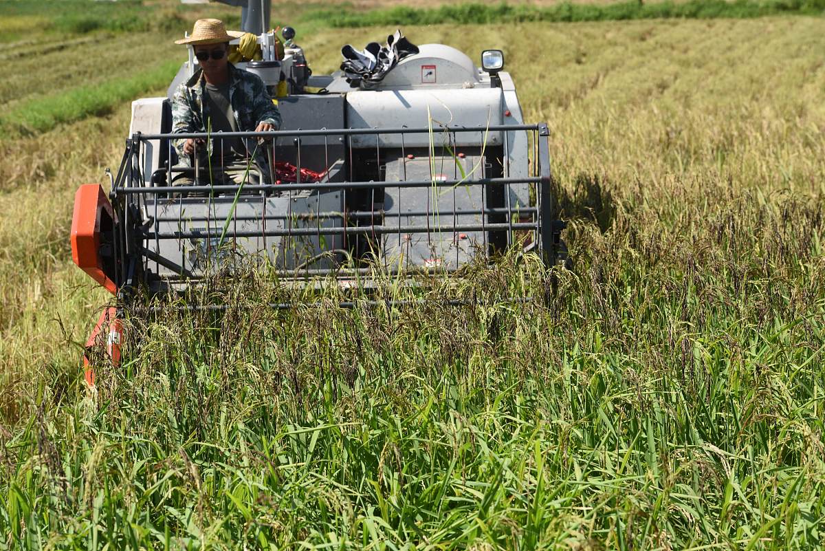 红河中专学校农业机械运用专业培养