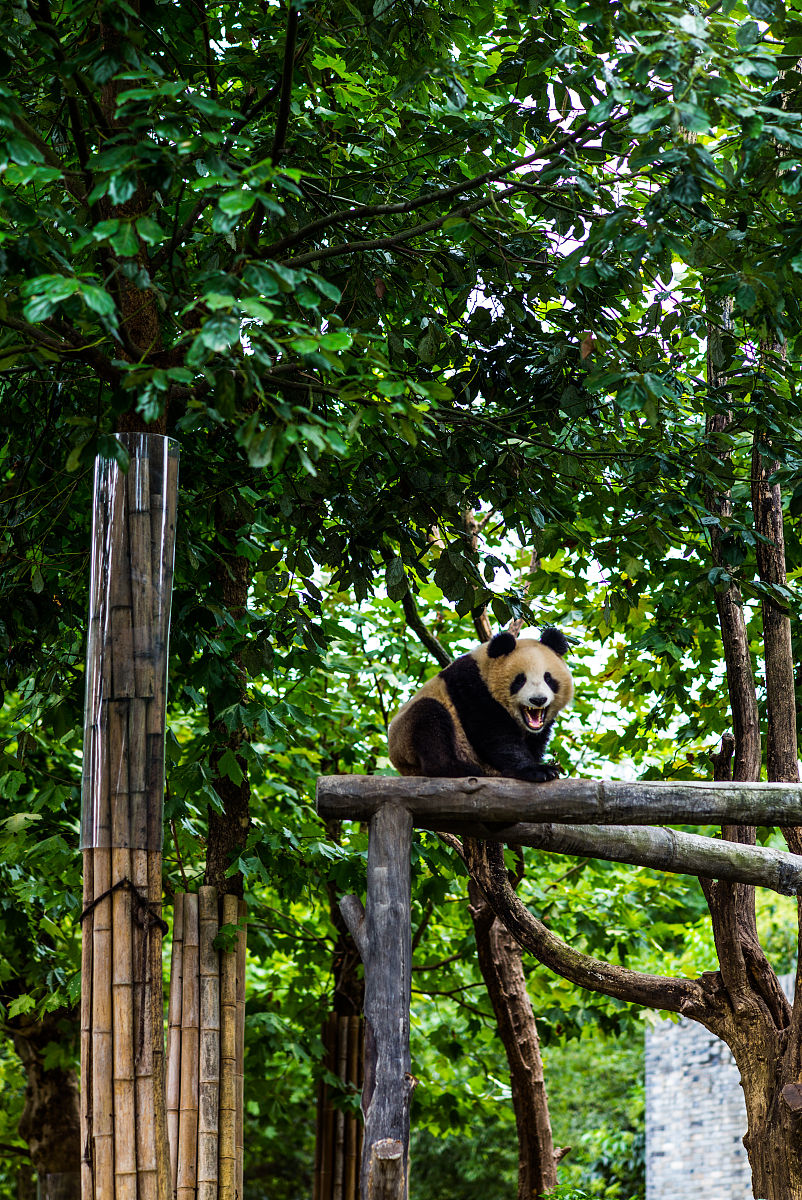 四川农业计算机大学在哪里？地址、交通、环境介绍