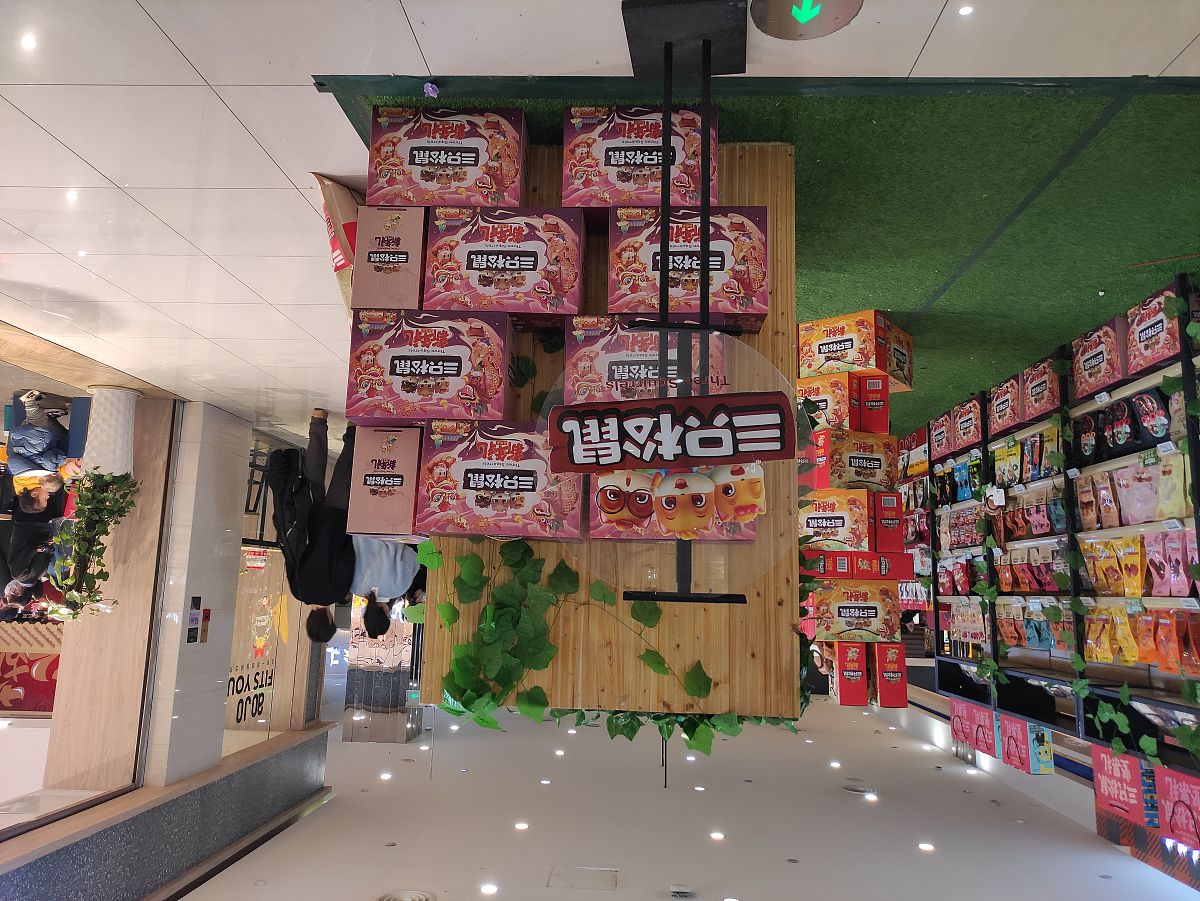 肇庆市三只松鼠仓库管理优化问题研究 - 论文结构与调查问卷内容