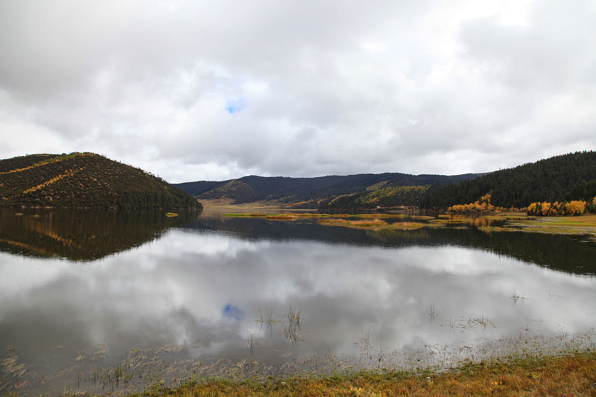 香格里拉的生态旅游资源发展现状及问题帮我用200字详细描述