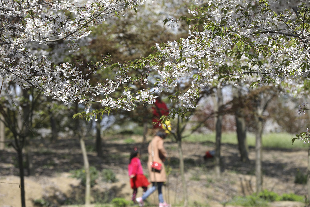 2019年江苏国家级重点中专学校名单及介绍