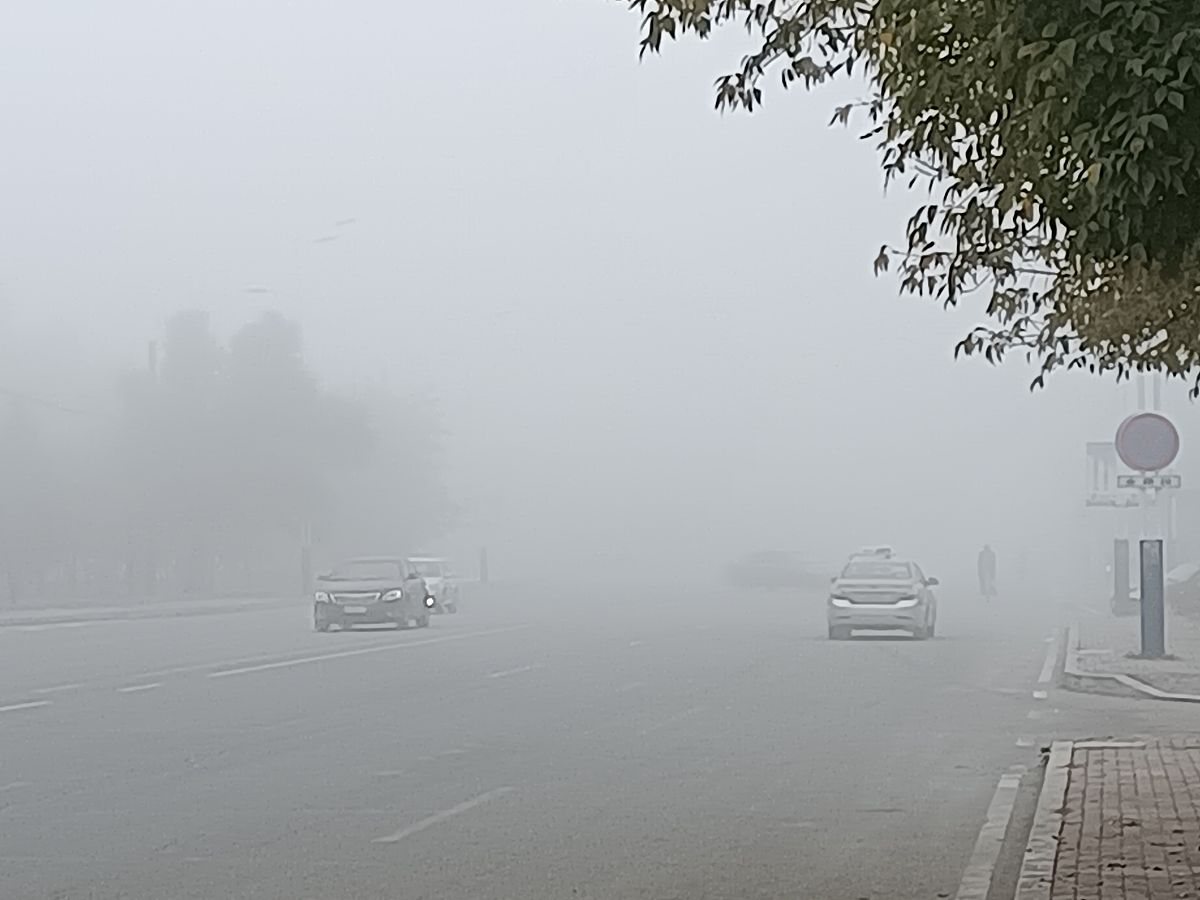 大庆媒体曝光求助热线电话是多少？ 要求：创建一篇500至1000字的解决方案