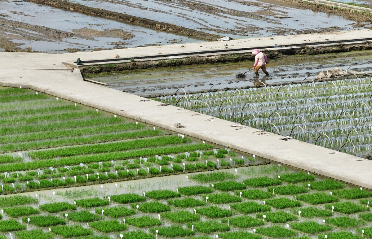描写我市机械化育秧中心发展中遇到了土地问题