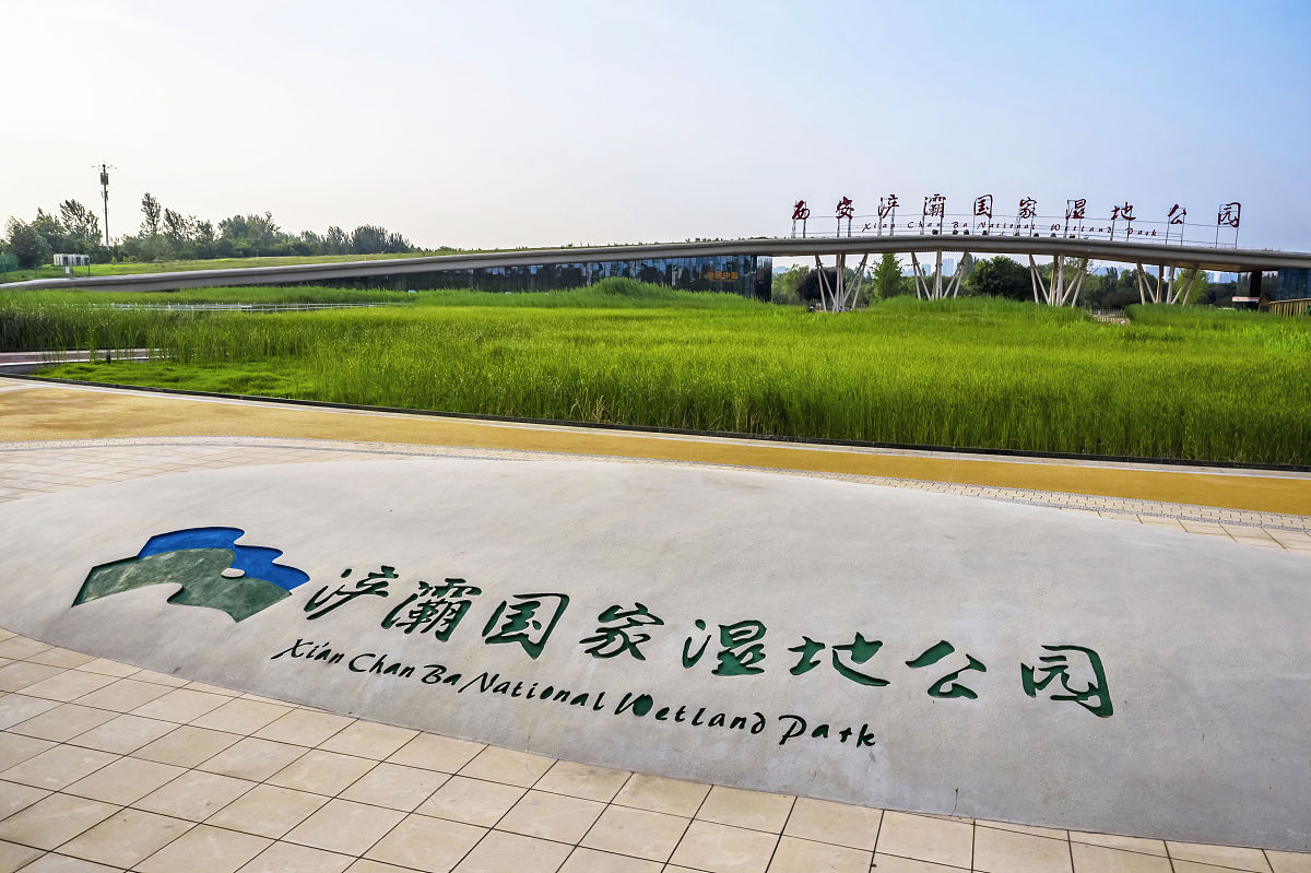 2021年7月1日,西安浐灞国家湿地公园.(如若下载使用,请务必署名:曾文