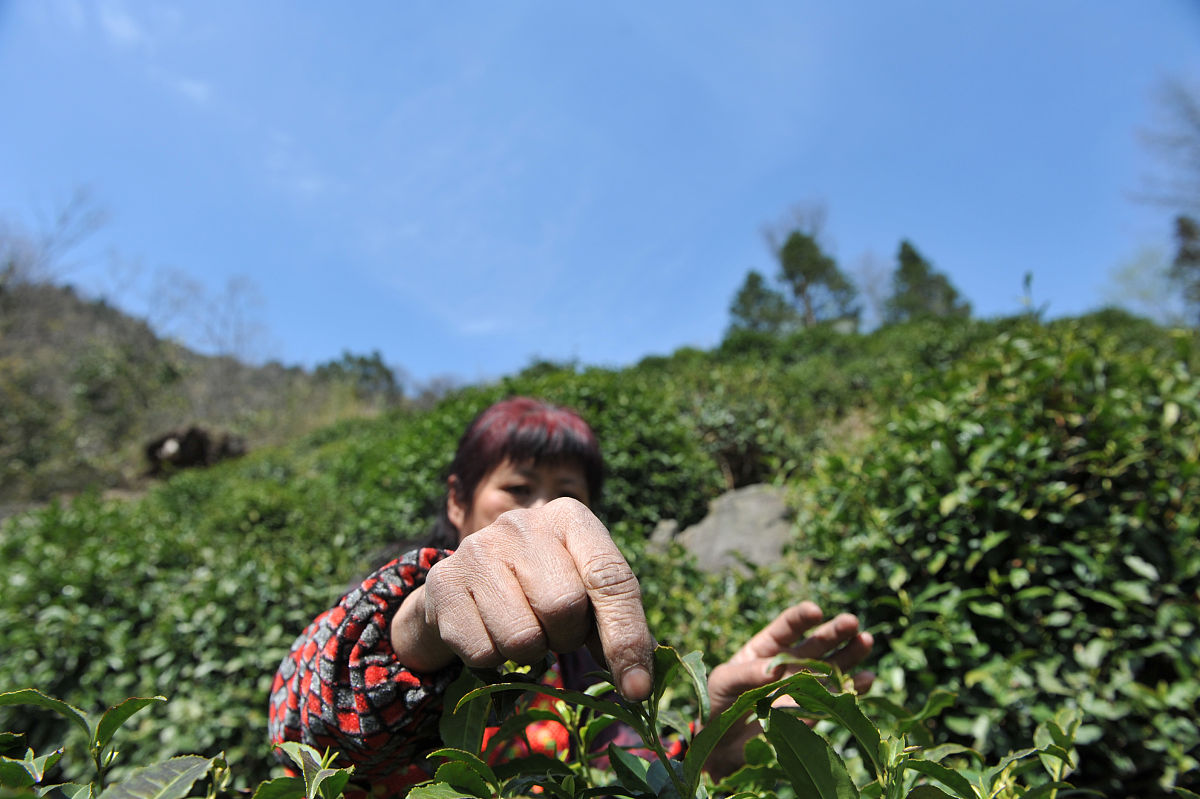 辽宁省农业经济学校地址查询：2021年招生信息