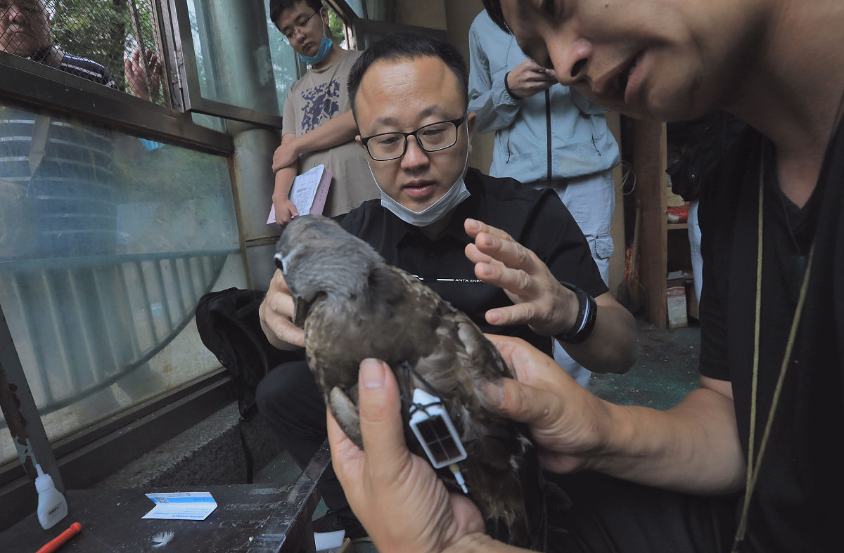 心态如何影响初中数学成绩：一项追踪研究