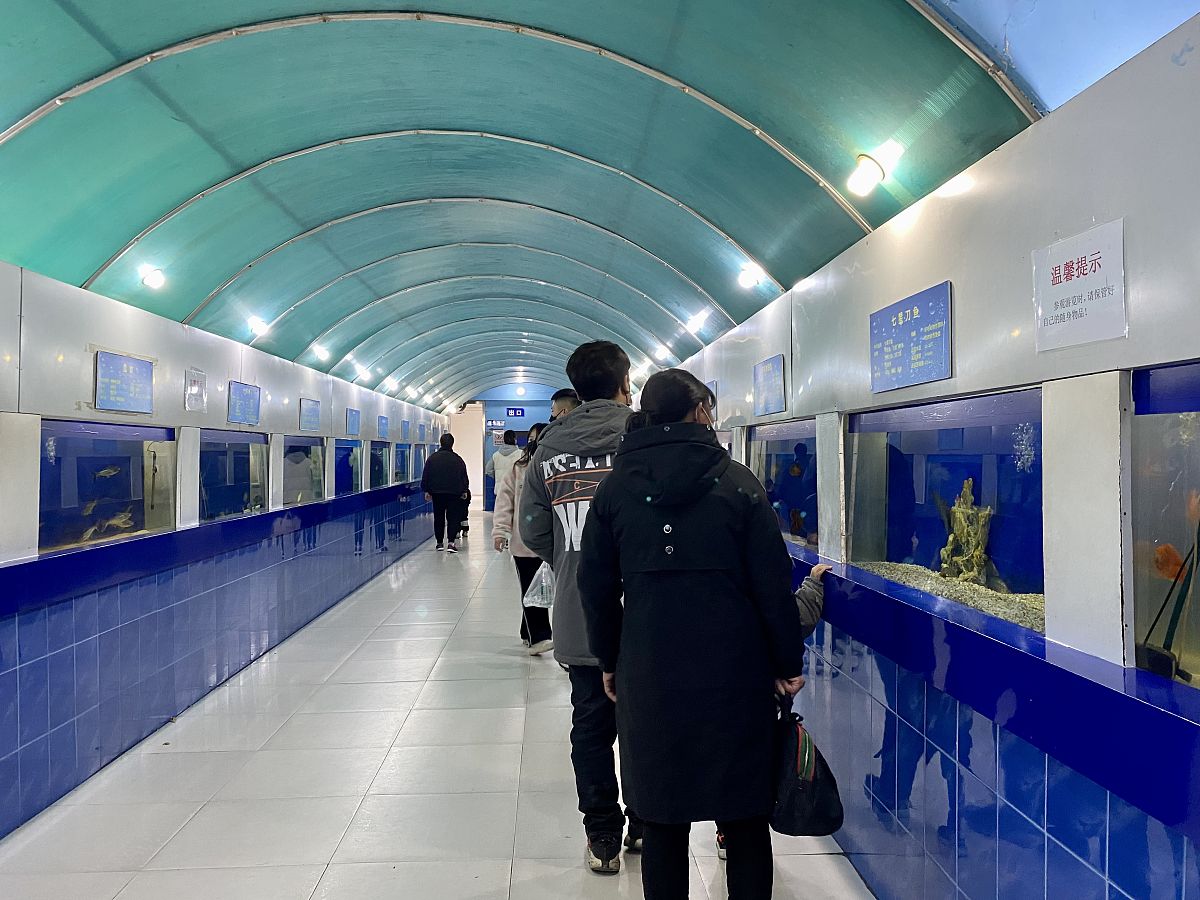 郑州城郊线周边30+热门景点推荐：动物园、海洋馆、公园、博物馆全都有！