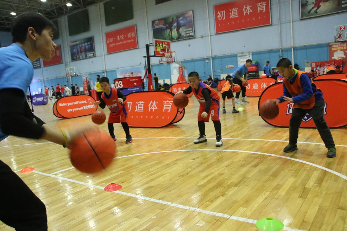 篮球入门指南：从零基础到球场高手