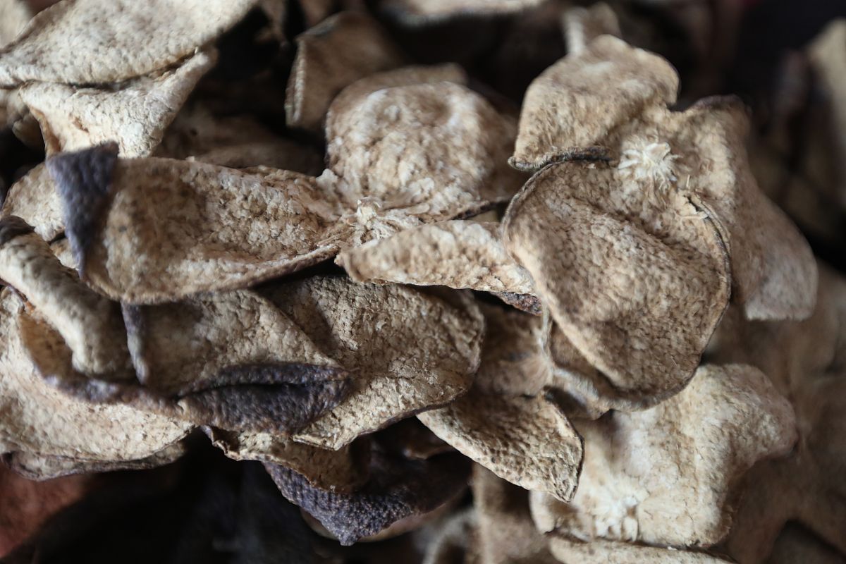 10年陈皮的价格