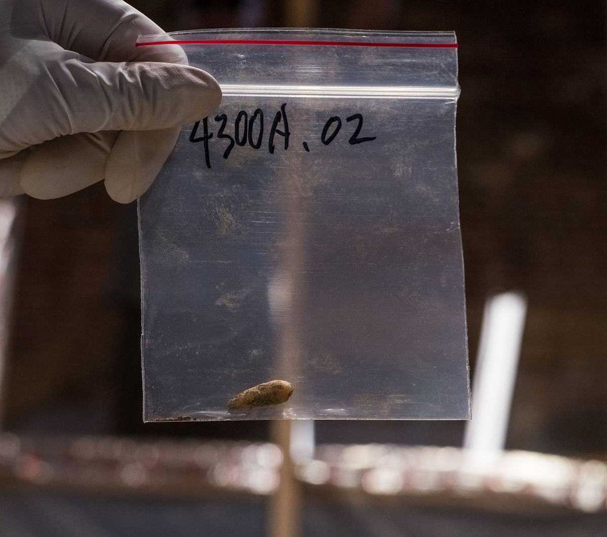 骸骨案应该从哪些方面展开技术鉴定工作