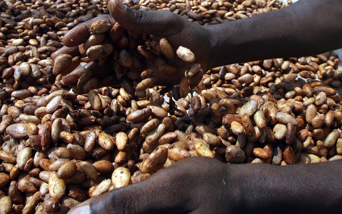 户外教育与经济发展：10篇论文解析主要内容