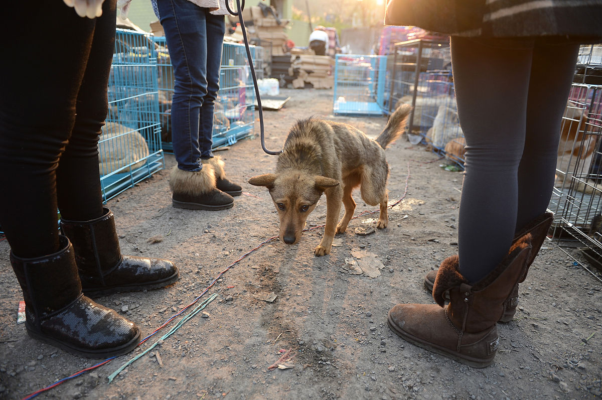 2020年重庆农业学校畜牧兽医招生