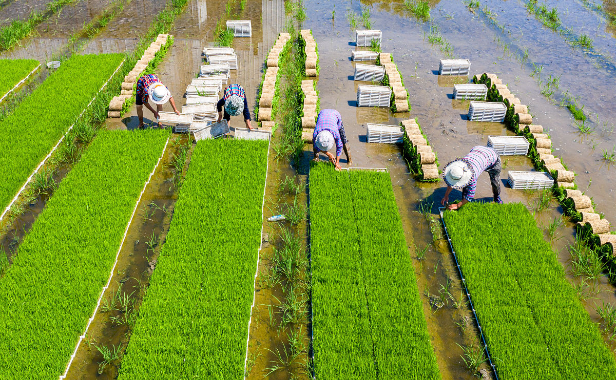 四川省江安县职业技术学校设施农业生产技术专业好就业吗